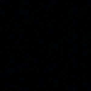 Meet your Posher, Talia